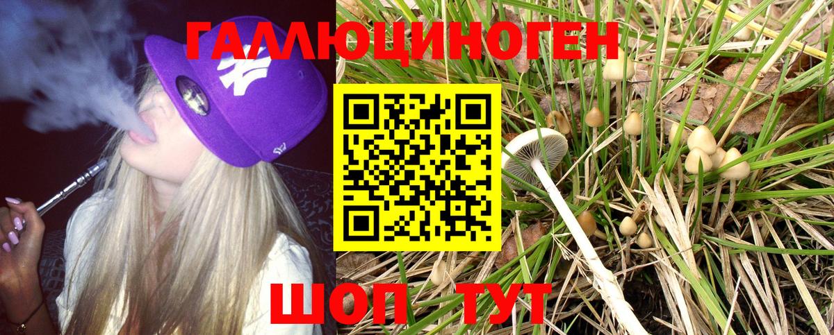 Псилоцибиновые грибы Psilocybine cubensis Реутов