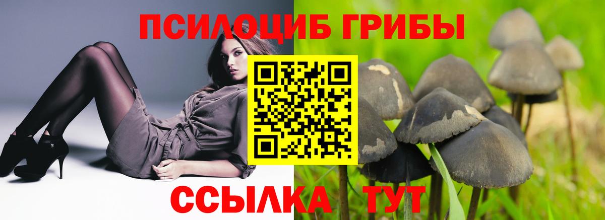 Галлюциногенные грибы Psilocybine cubensis  Вход с VPN  Реутов 
